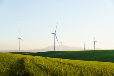 Impulsa tus iniciativas ecológicas con software a medida