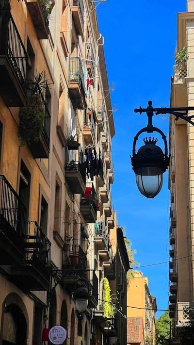 La mejor manera de encontrar bots de Instagram en Málaga