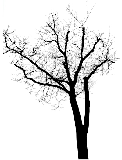 Optimización de ramas en proyectos de IA con git worktree