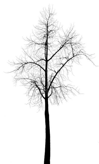 Find minimum height tree in undirected tree in JavaScript