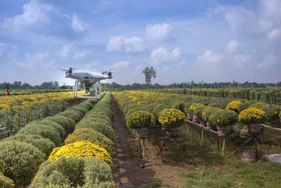 Drones agrícolas: Revolución en la agricultura con AI en el cielo
