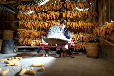 Desarrollando Banana AI