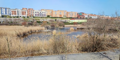 Los 30 mejores expertos en desarrollo de aplicaciones en Castellón de la Plana