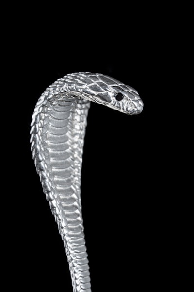 Comprendiendo la retropropagación con ejemplos en Python