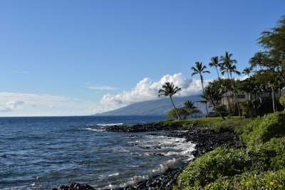 Optimizando las actualizaciones de .NET MAUI