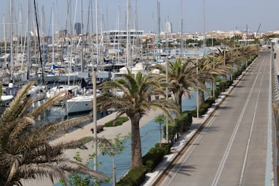 Principales expertos en seguimiento de vacaciones en Valencia
