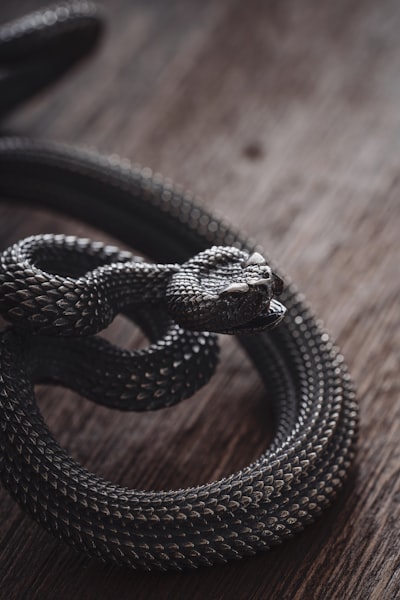 Construye tu propio servidor web en Python desde cero