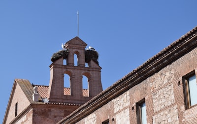 Mejores 30 empresas de bots para Instagram en Alcalá de Henares