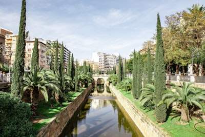 Desarrollo backend personalizado en Palma