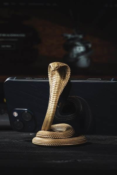Python Avanzado para IA/ML