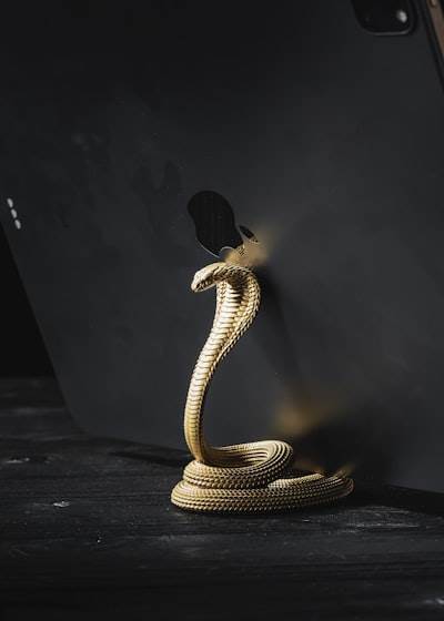Abordando Python con codificación de onda en 2026