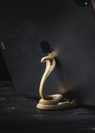 Comparación de Python y Node.js para construir un rastreador de AppSumo