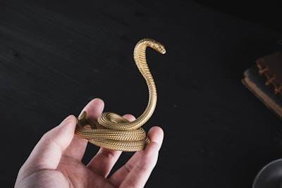 Avoid Folder Chaos: Use LLM + Python to Organize Your Files