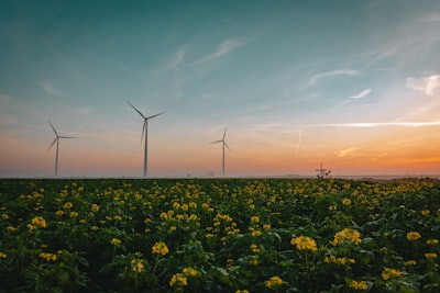 Beneficios de un portal con IA en industrias sostenibles