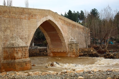 Modelos de puente con muestras limpias limitadas
