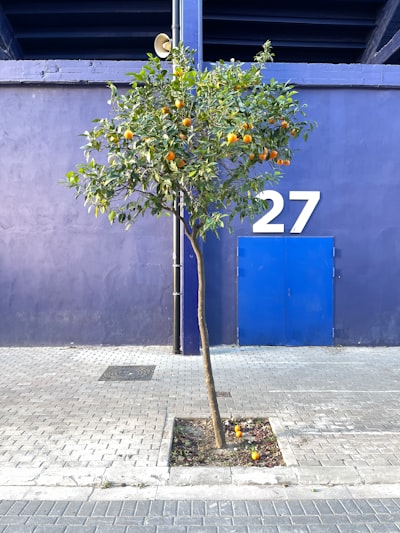 Trabajador agente 24/7 en Valencia