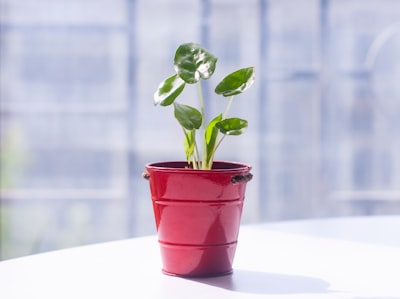 Mejores empresas de automatización de generación de leads en Valladolid