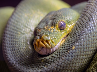 8 horas de sarcasmo binario y terapia con Python