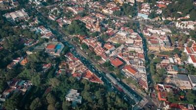 Dónde encontrar servicios de desarrollo de IA en Tomelloso