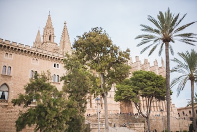 Los 50 principales especialistas en revisión automatizada de registros de seguridad en Palma