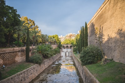 Los 50 mejores expertos en knowledge business de la historia del chat en Palma