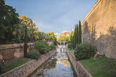 Mejores Expertos en programación a medida en Alcázar de San Juan