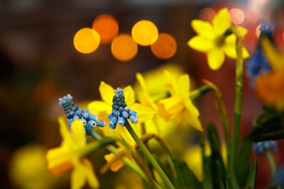 Robots Humanoides Celebran la Primavera