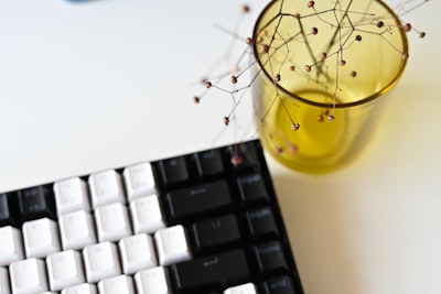 Top 5 Pest Control Software Companies in Barcelona