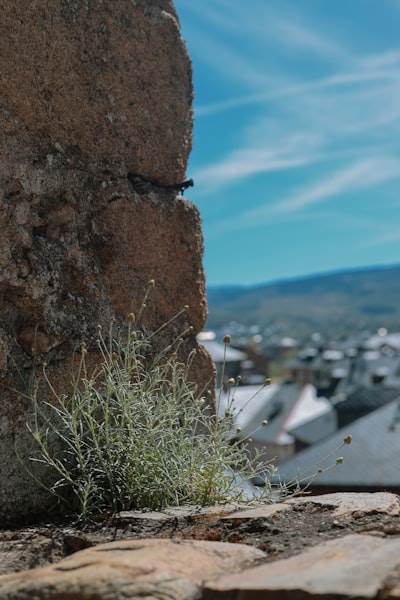 Las empresas líderes de bots de Instagram en Ponferrada
