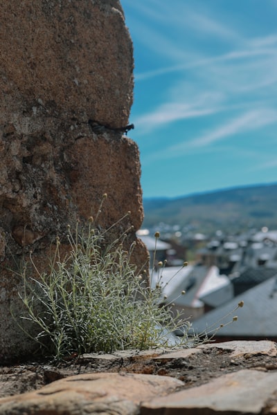 Las 30 principales empresas de bots de Instagram en Ponferrada