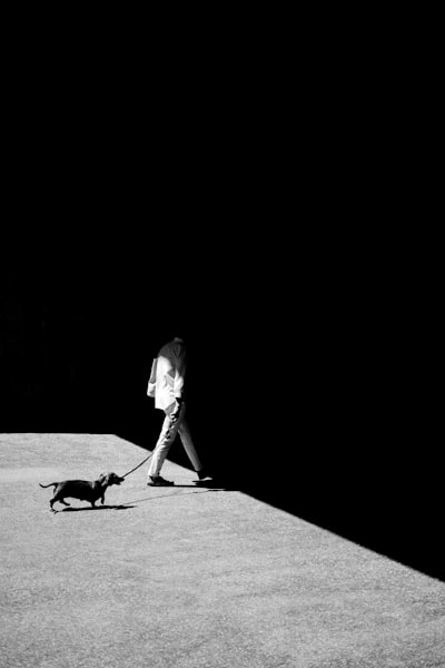 Moonwalk: Reverse-Forward Differentiation