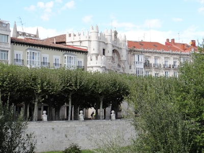 Top 10 Expertos en IA en Automatización en Burgos