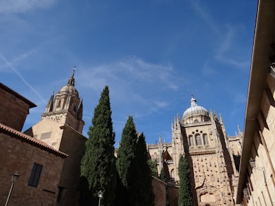 Desarrollo de software web a medida en Salamanca