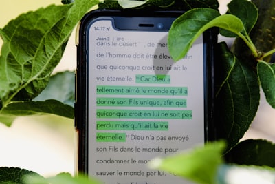 Chatbot personalizado: apoyo clave para la transformación digital ecológica