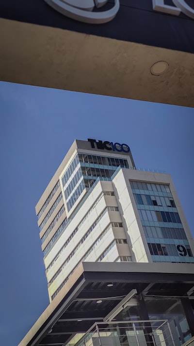 Las mejores empresas para bots SEO en Tudela