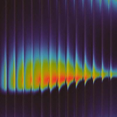Automated Anomaly Detection in Inflammation Point Spectroscopy Data through High-Dimensional Neural Networks