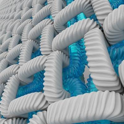 Improved Polymer Membrane Coating through Surface Dynamic Functionalization and Real-Time Monitoring