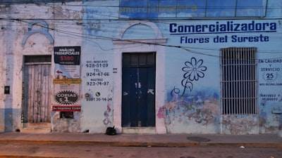 Mejores empresas de aplicaciones móviles en Ciempozuelos