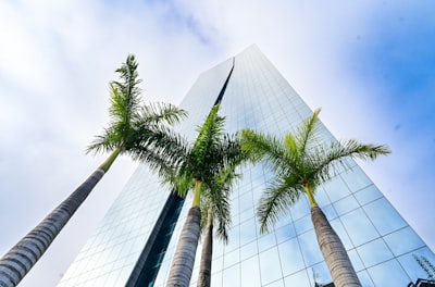 Top 20 empresas para desarrollo de software personalizado en Alicante