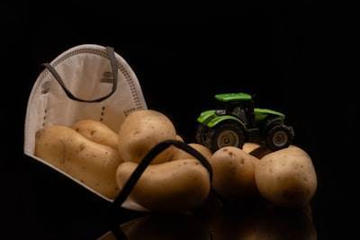 Cómo la IA transforma la industria alimentaria