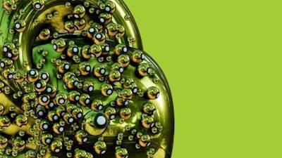 Descubre el poder de la espirulina: el superalimento del momento