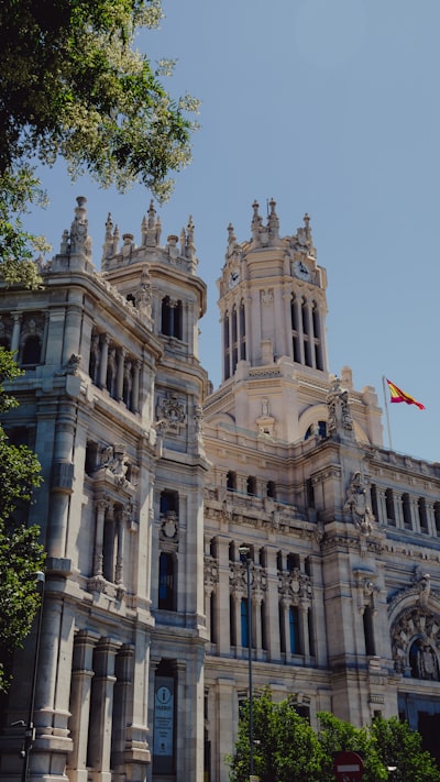 Líderes en búsqueda vectorial para negocios en Madrid
