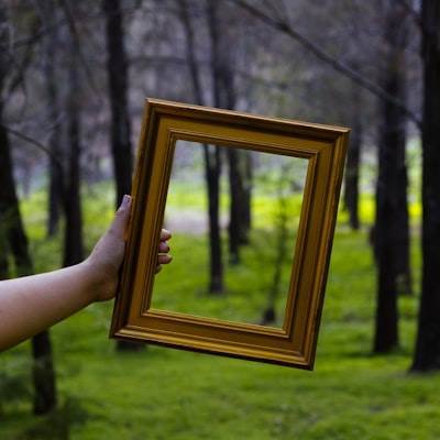 Desbloqueando memorias digitales con Reflect