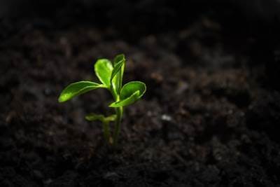 Hybrid AI Ecosystem for the Next Generation Worker: Establishing DeckerGUI