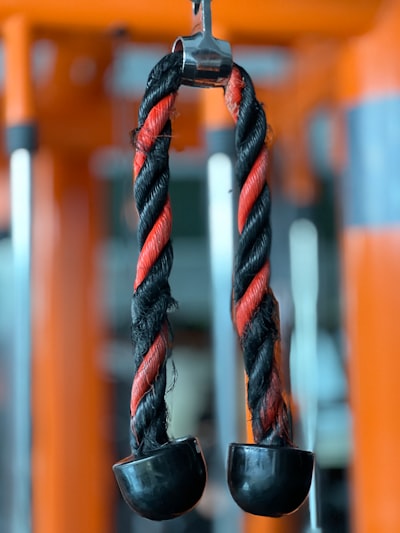 Load Balancing for AI Training Workloads