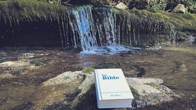 La mejor consultoría de software en Ribeira