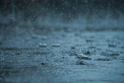 Cómo las observaciones puntuales mejoran la predicción de lluvia