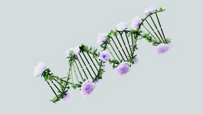 Un marco de razonamiento neuro-simbólico para LLMs