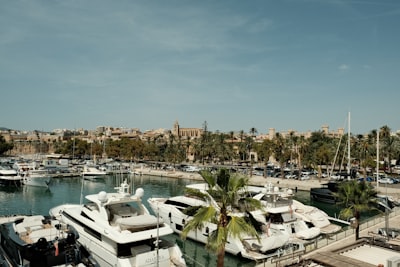 Las 3 principales empresas de videos de IA en Palma