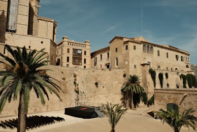 Mejores empresas de videos de marketing de IA en Palma